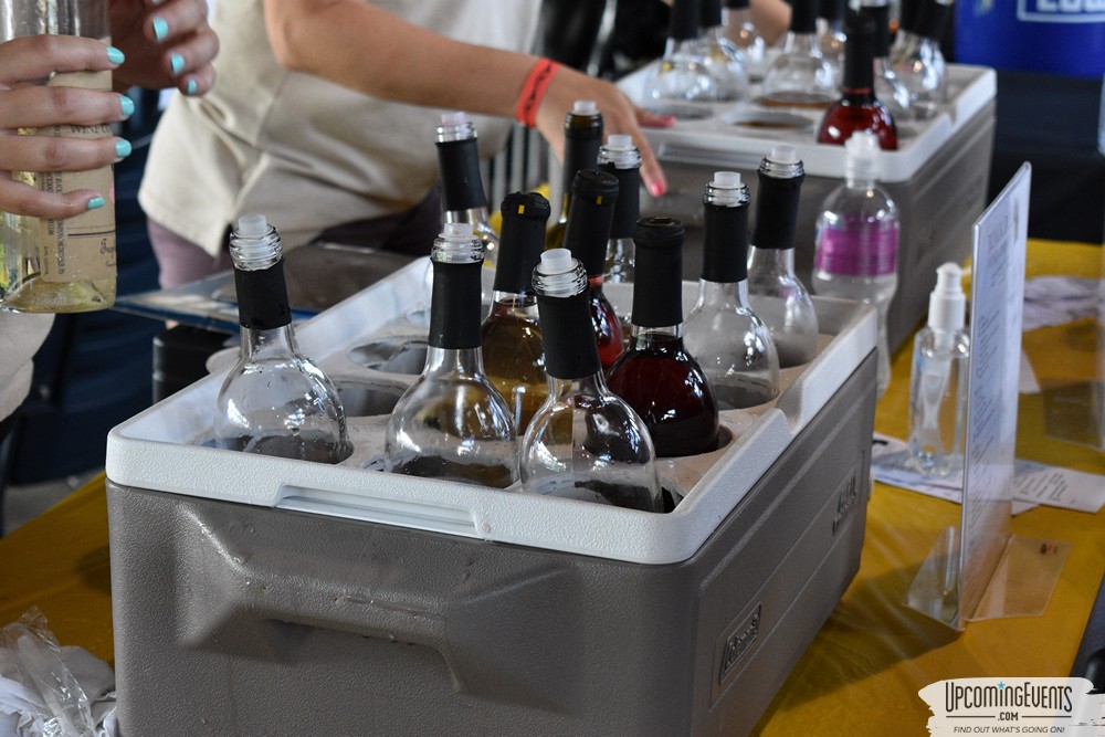 Pittsburgh All Star Festival 2018 - Gallery 3