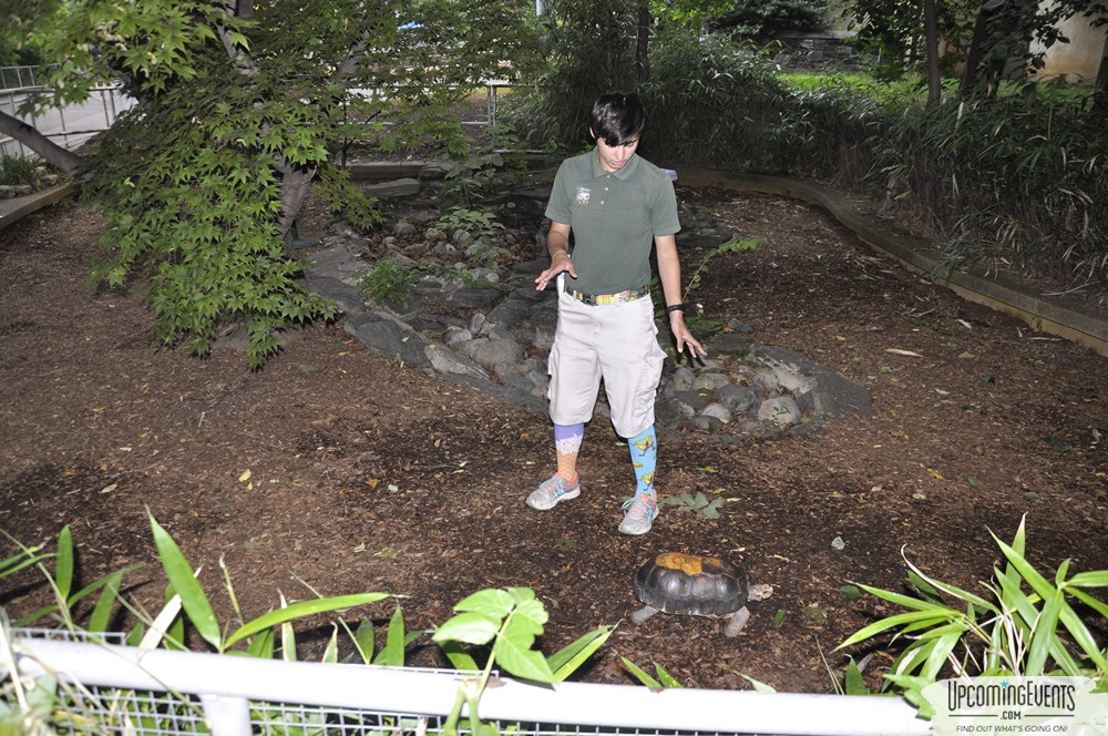 Summer Ale Festival at The Phladelphia Zoo