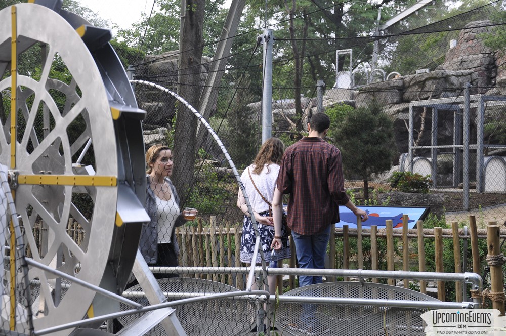 Summer Ale Festival at The Phladelphia Zoo