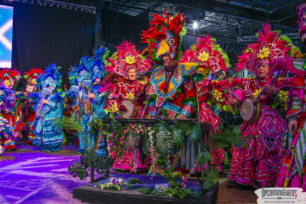 Mummers Mardi Gras Festival (Candid Gallery 2)