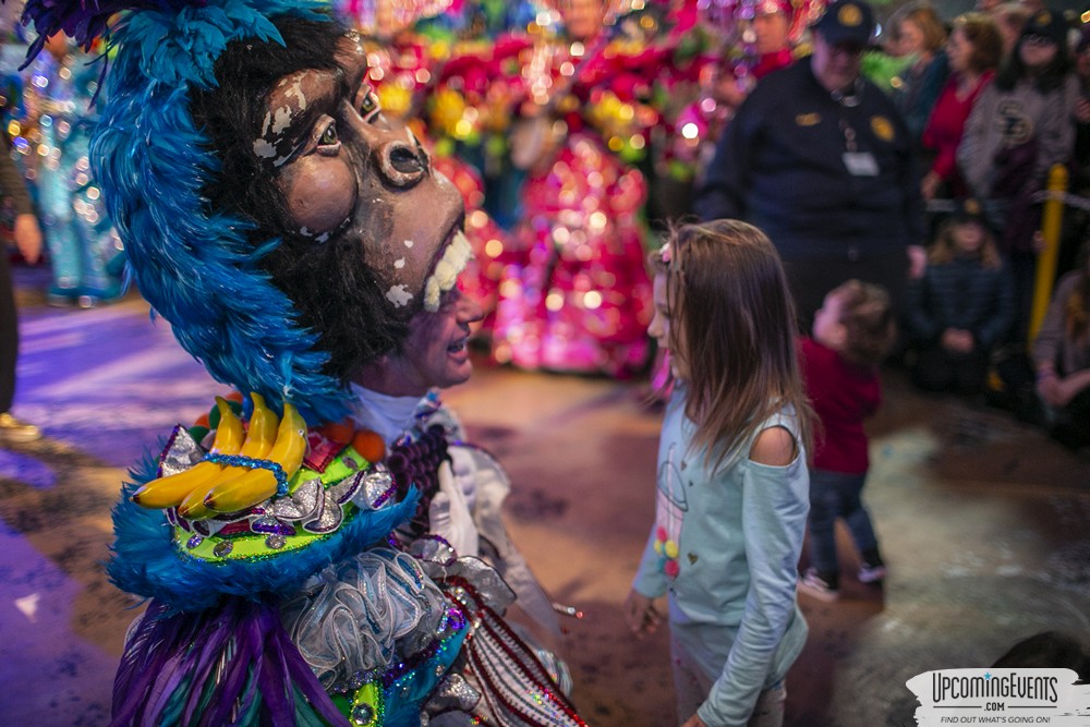 Mummers Mardi Gras Festival (Candid Gallery 2)