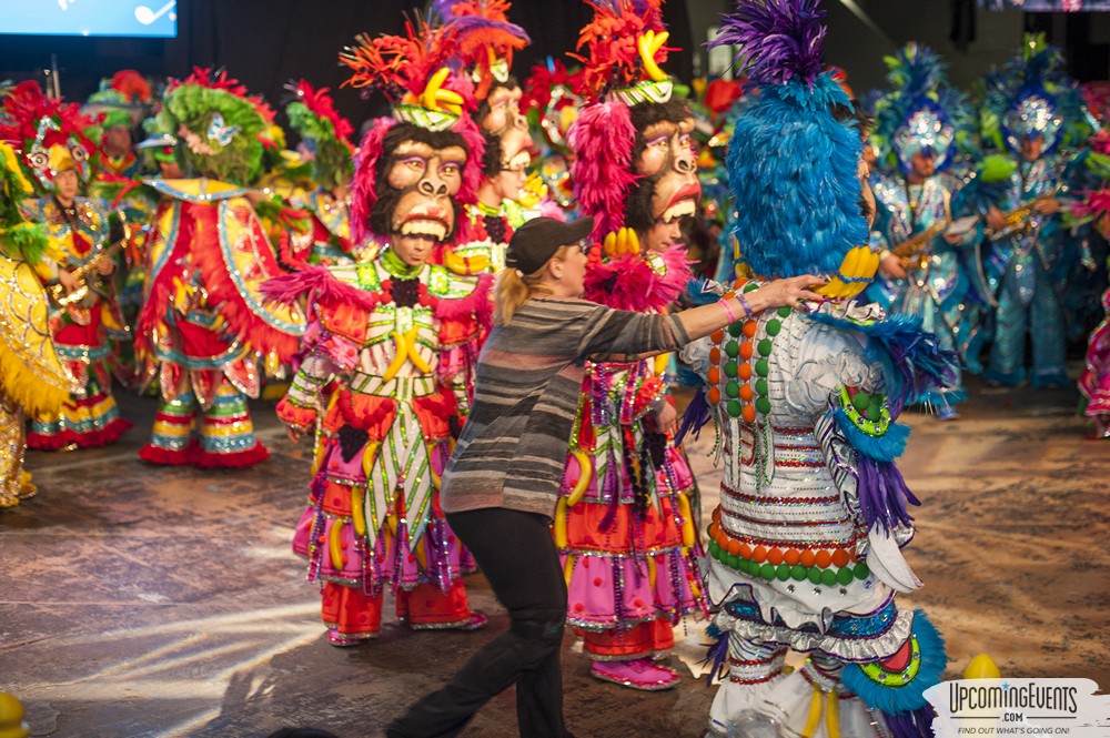 Mummers Mardi Gras Festival (Candid Gallery 1)