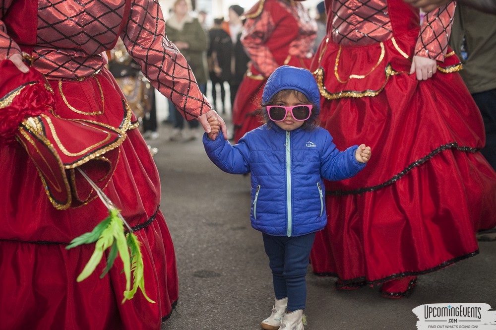 Mummers Mardi Gras Festival (Candid Gallery 1)