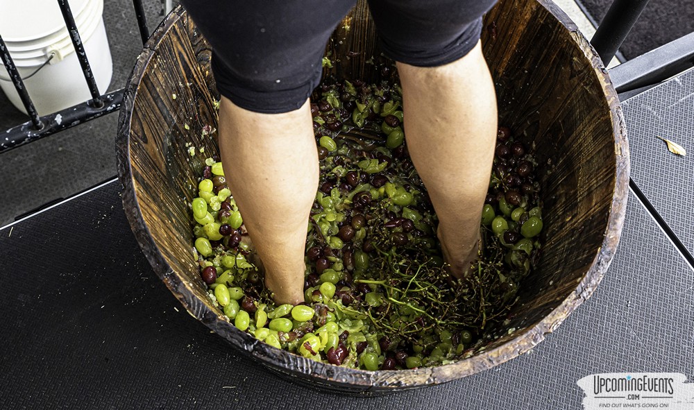 Sippin' By The River 2019