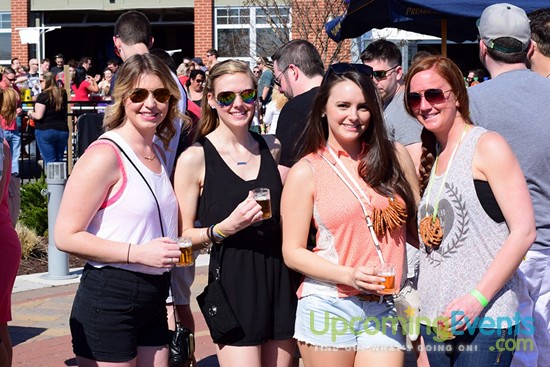 Springfest Live! Craft Beer Fest (Gallery C)