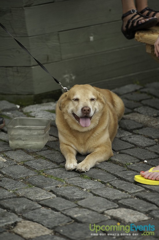 Spring Fest 2015 @ The Ugly Moose