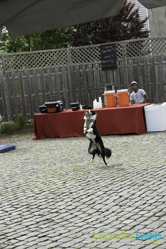 Spring Fest 2015 @ The Ugly Moose