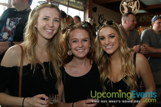 Springfest Live! 2017 - Gallery 2