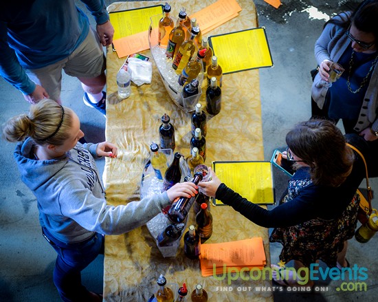 All Star Craft Beer & Wine Festival - Gallery 1