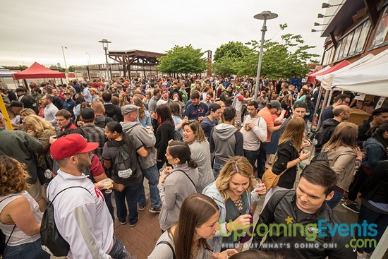 All Star Craft Beer & Wine Festival - Gallery 6