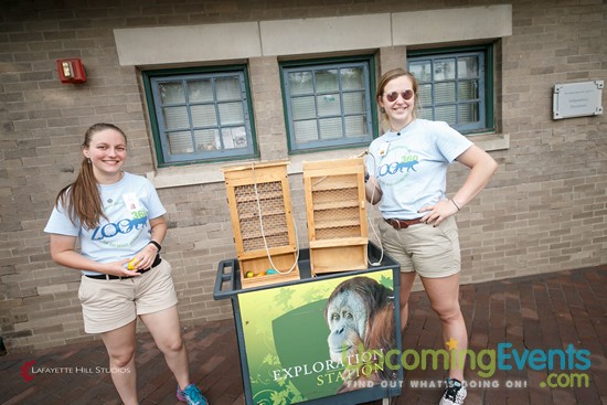 Summer Ale Festival at The Zoo!