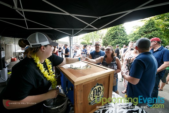Summer Ale Festival at The Zoo!