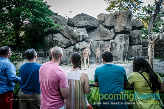 Summer Ale Festival at The Zoo!