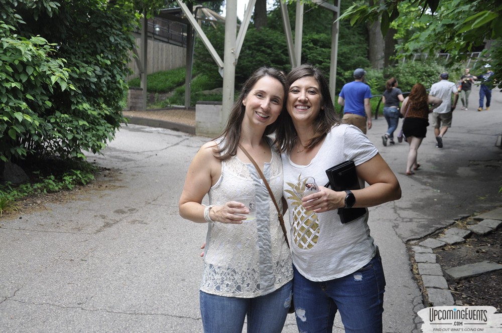 Summer Ale Festival at The Phladelphia Zoo