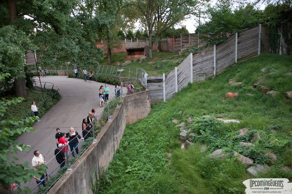 OktoBEARfest at the Philadelphia Zoo