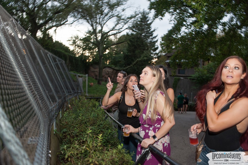 OktoBEARfest at the Philadelphia Zoo