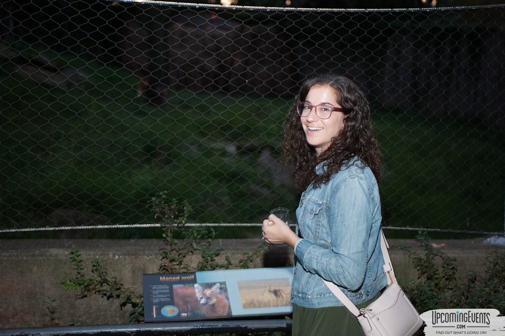 OktoBEARfest at the Philadelphia Zoo