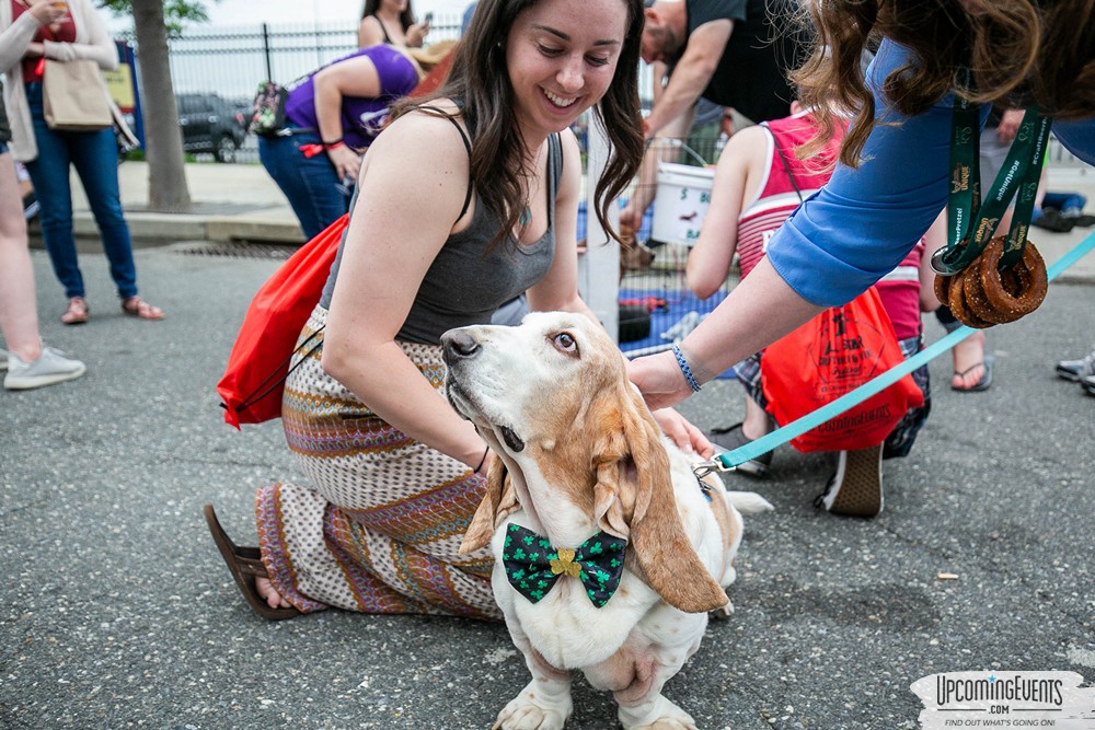 Philly All Star Festival 2019 - Gallery 4
