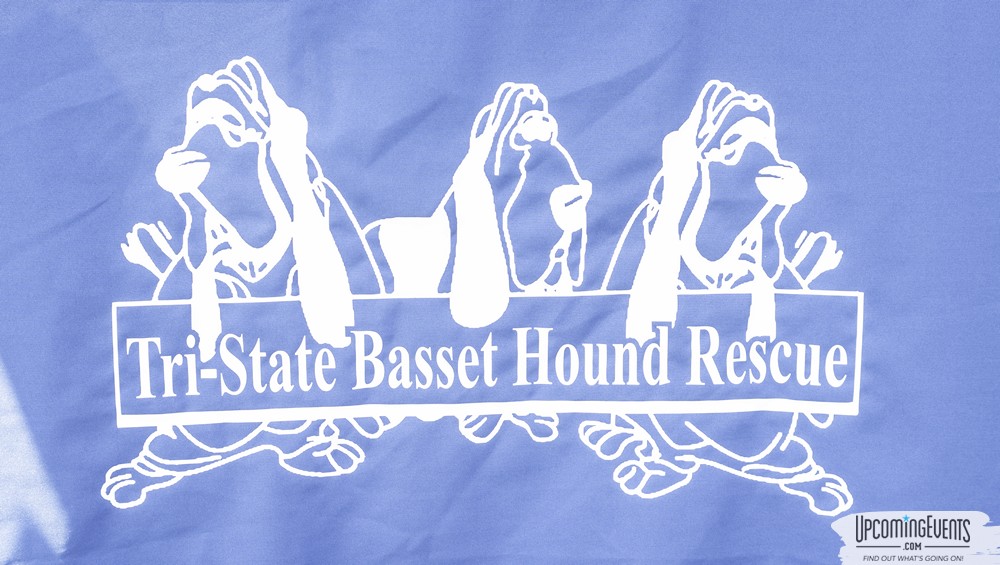 Philly All Star Festival 2019 - Gallery 1