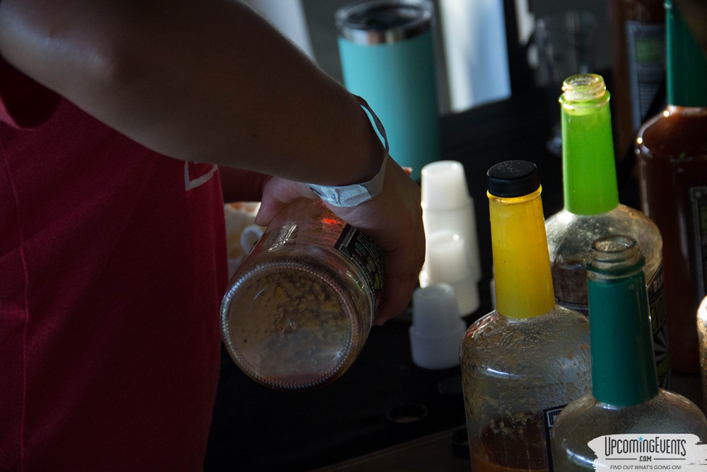 Texas All Star Festival 2019 - Gallery 2