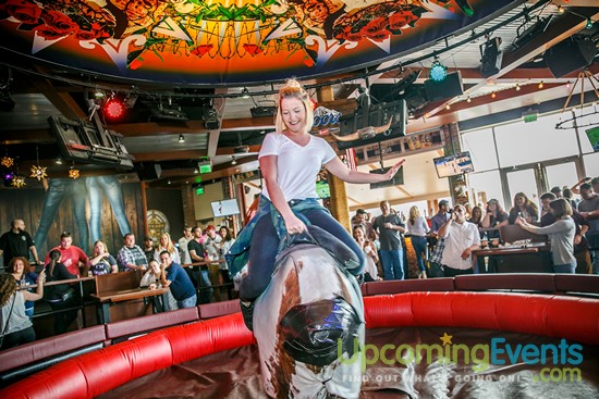 Springfest Live! 2016 (Gallery A)