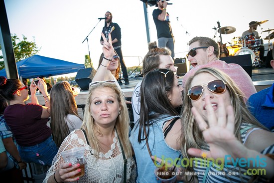 Springfest Live! 2016 (Gallery A)