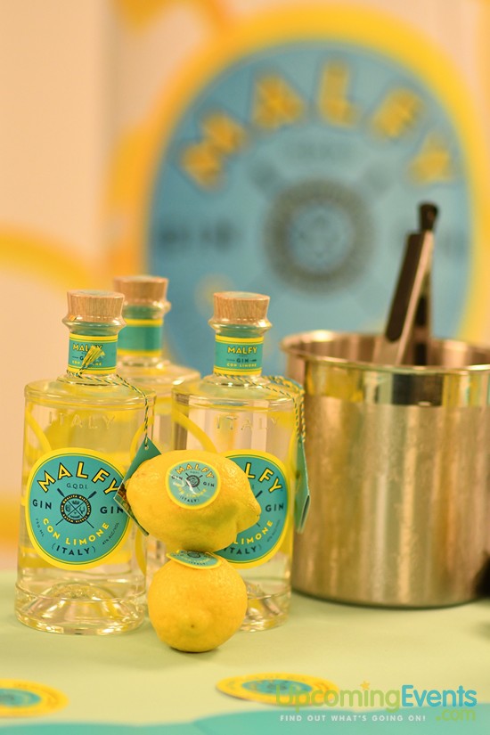 Philadelphia Restaurant Festival 2017 (Gallery 2)