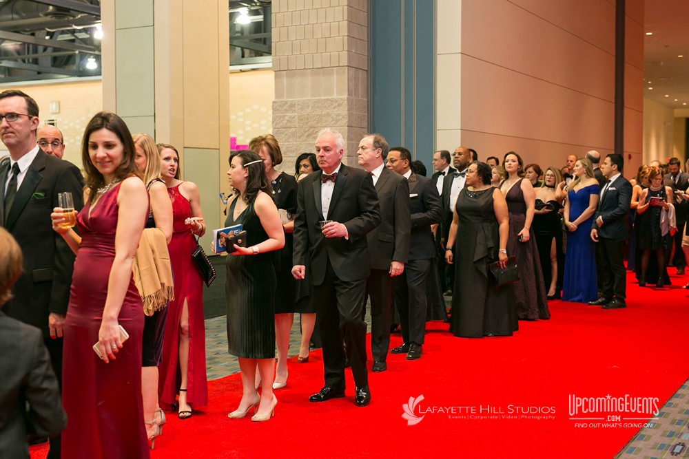 Black Tie Tailgate 2018 (The Red Carpet)