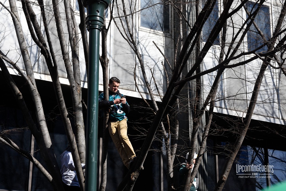 Eagles Parade Photos (Gallery 3)