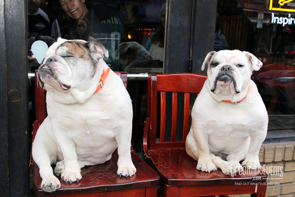 The Shamrock Crawl (Manayunk)