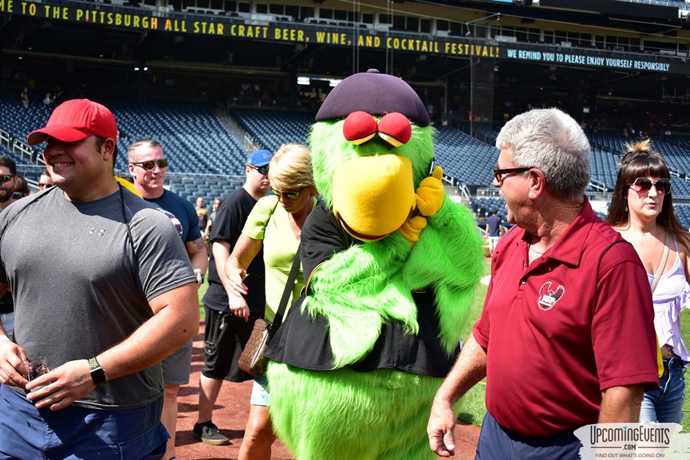 Pittsburgh All Star Festival 2018 - Gallery 3