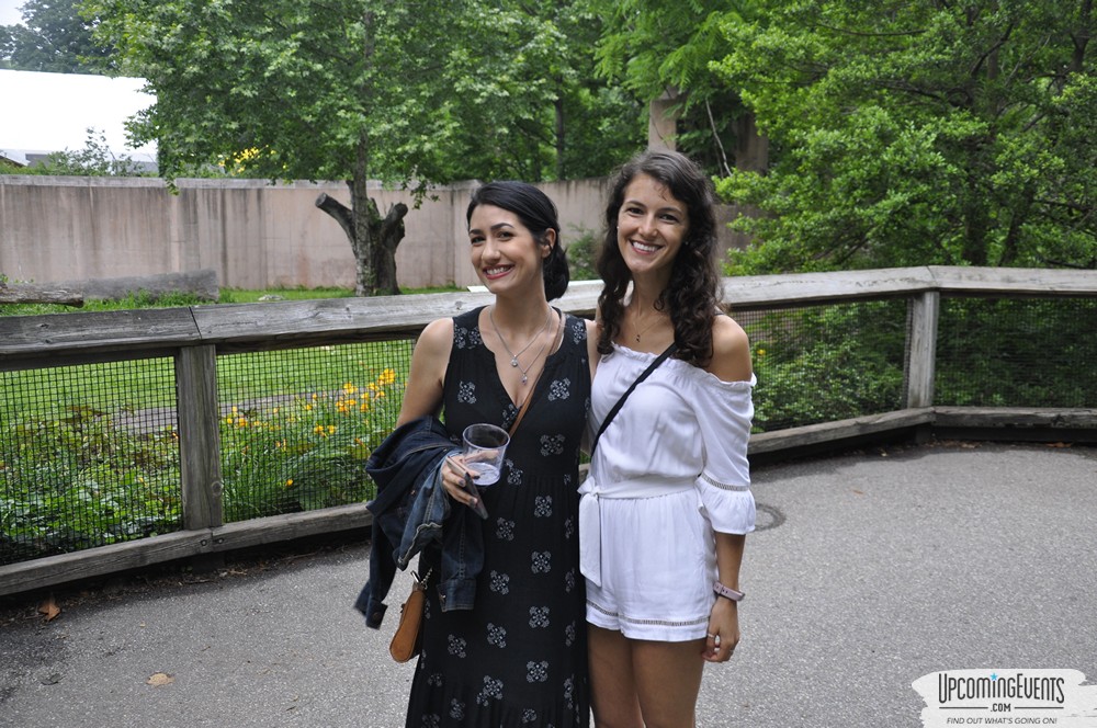 Summer Ale Festival at The Phladelphia Zoo