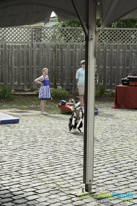 Spring Fest 2015 @ The Ugly Moose