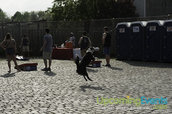 Spring Fest 2015 @ The Ugly Moose