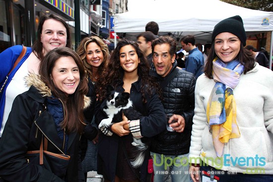 Midtown Festival 2015 (Gallery B)