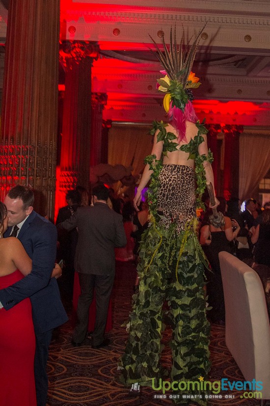 Hair O' The Dog 2016 (Gallery 1)