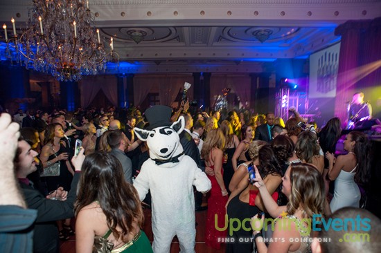 Hair O' The Dog 2016 (Gallery 2)