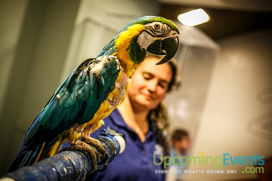 Philadelphia Restaurant Festival 2016