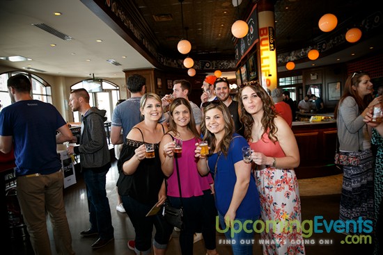 Springfest Live! 2016 (Gallery A)