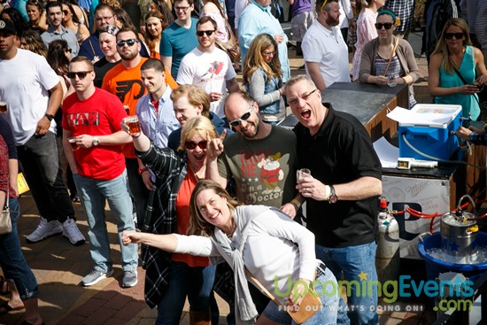 Springfest Live! 2016 (Gallery A)