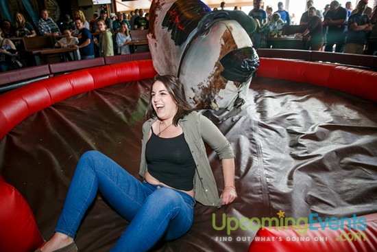 Springfest Live! 2016 (Gallery A)