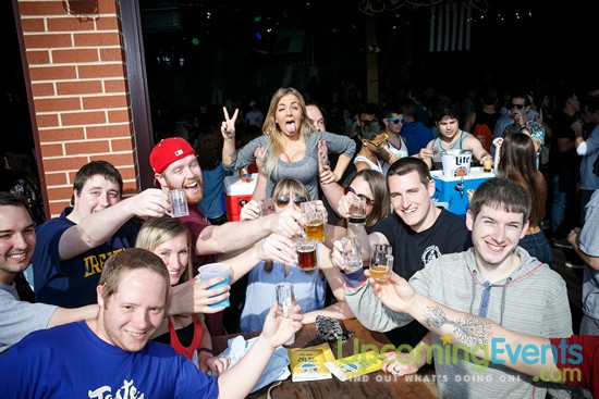 Springfest Live! 2016 (Gallery A)