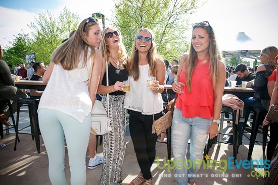 Springfest Live! 2016 (Gallery A)