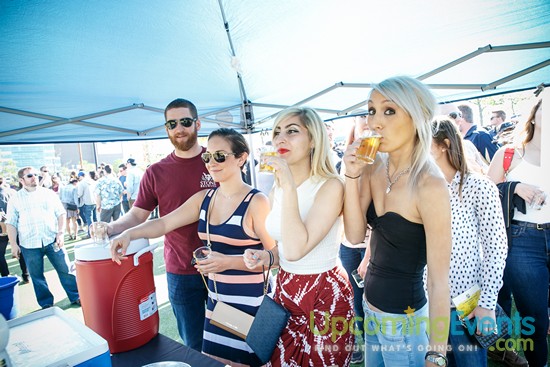 Springfest Live! 2016 (Gallery A)