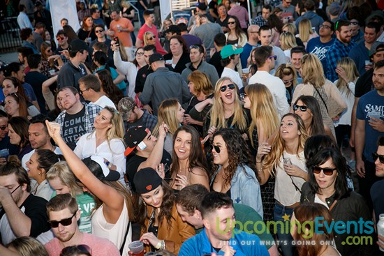 Springfest Live! 2016 (Gallery A)