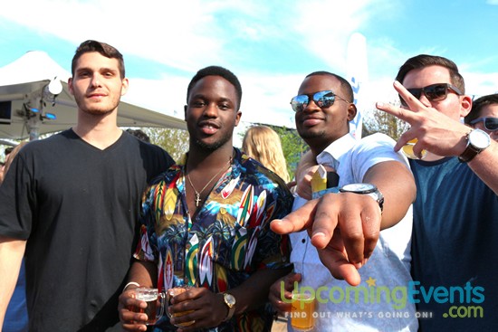 Springfest Live! 2016 (Gallery D)