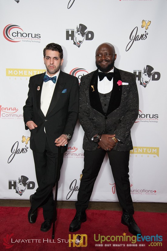 Hair O' The Dog 2017 (Red Carpet)