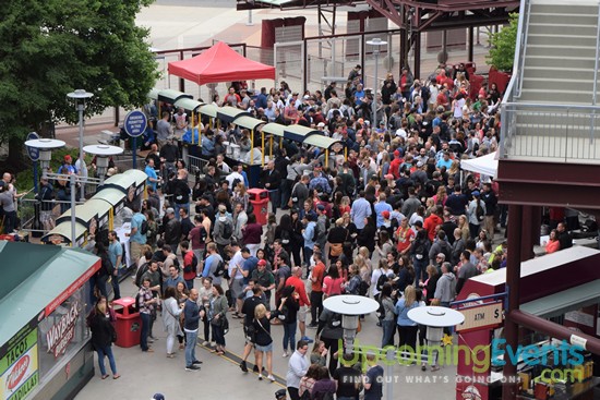 All Star Craft Beer & Wine Festival - Gallery 3