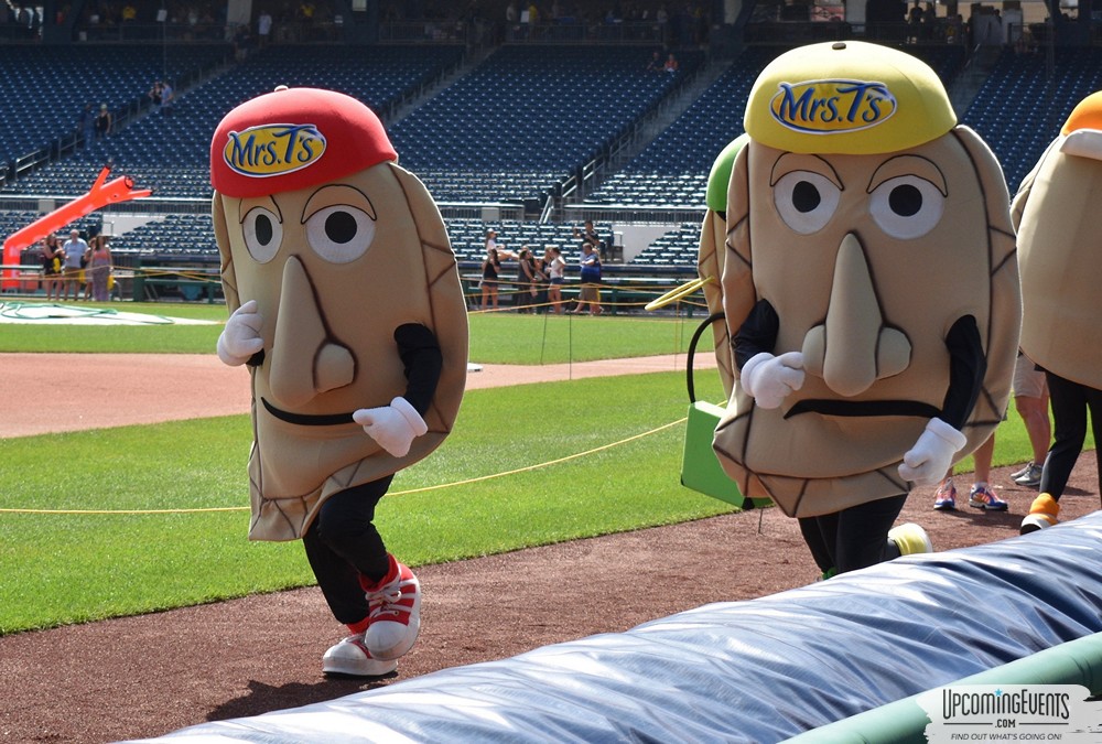 Pittsburgh All Star Festival 2018 - Gallery 3