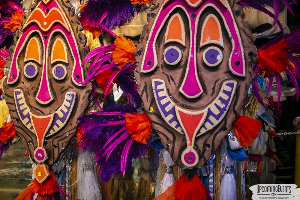 Mummers Mardi Gras Festival (Candid Gallery 2)